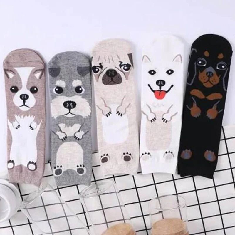 5켤레/팩 재미있는 만화 강아지 참신한 디자인의 하라주 - Cotton Crew Sock Pack 리뷰 및 가격