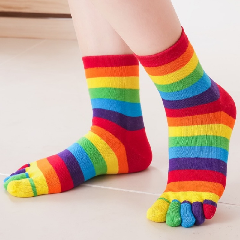 여성용 양말 무지개 줄무늬 다섯 손가락 스플릿 토 코튼 - Toe Sock Split 리뷰 및 가격